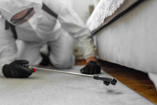 Professional Bed Bug Control technician working in Norwood, NC