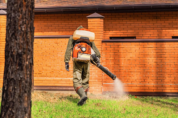 Top rated local Bed Bug Control specialists in Norwood, NC